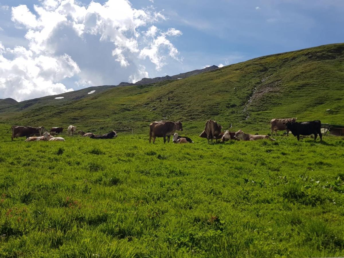발푸르바 Agriturismo Malga Dell'Alpe 빌라 외부 사진